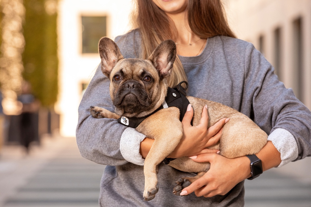 Für die ersten Schritte der jungen Hunde.