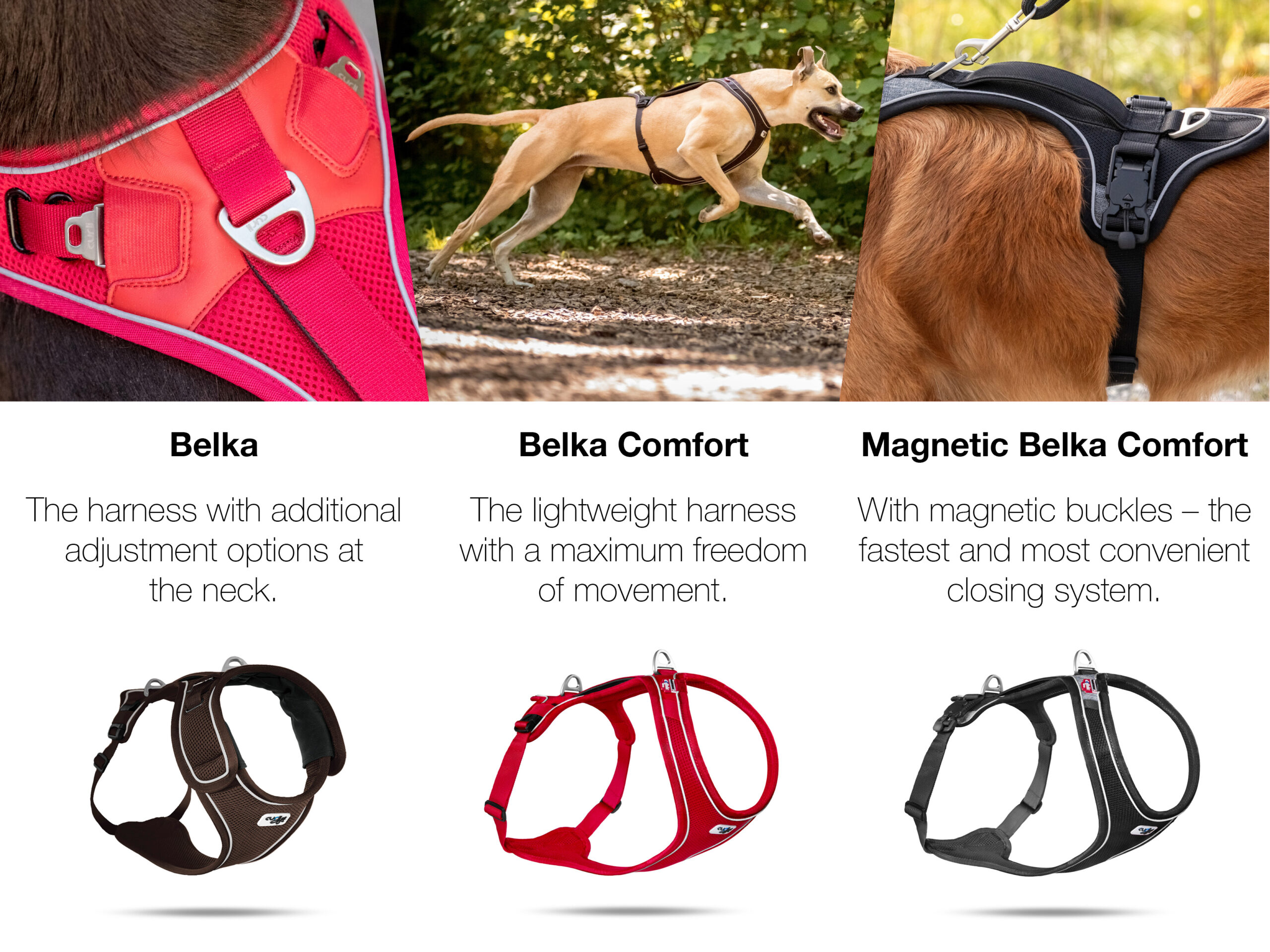 The different Belka harnesses