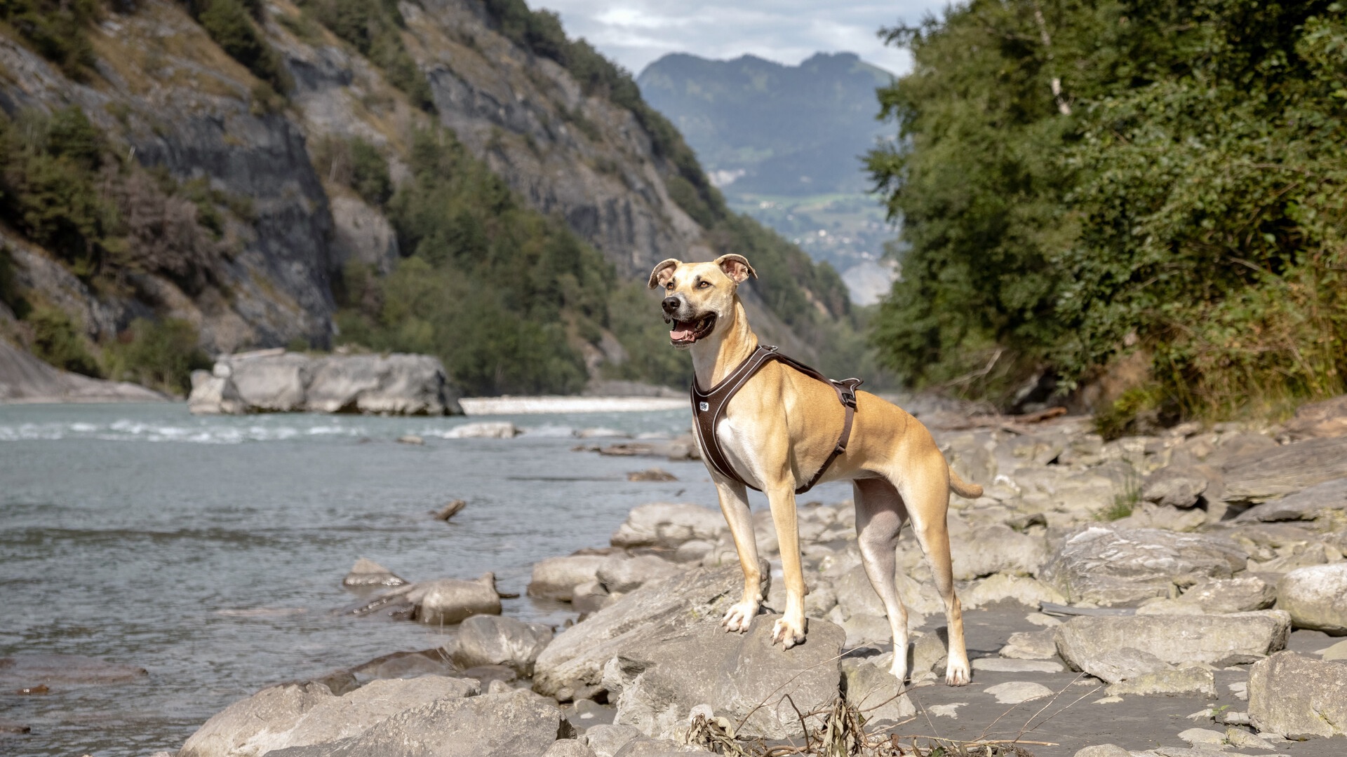 Tipps, damit der Sprung ins kalte Wasser allen Spass macht.