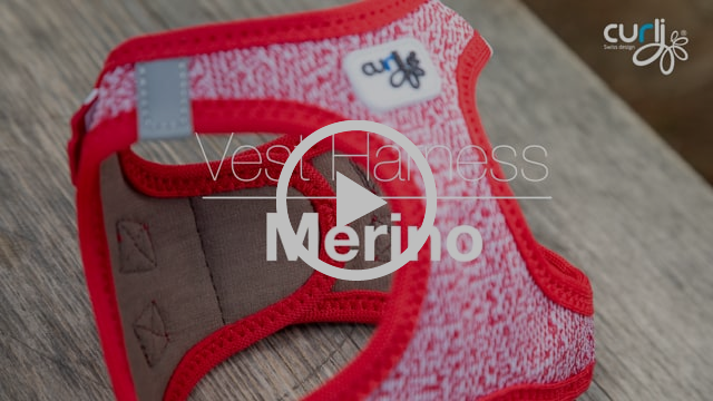 New Products – Videos with detailed product description
