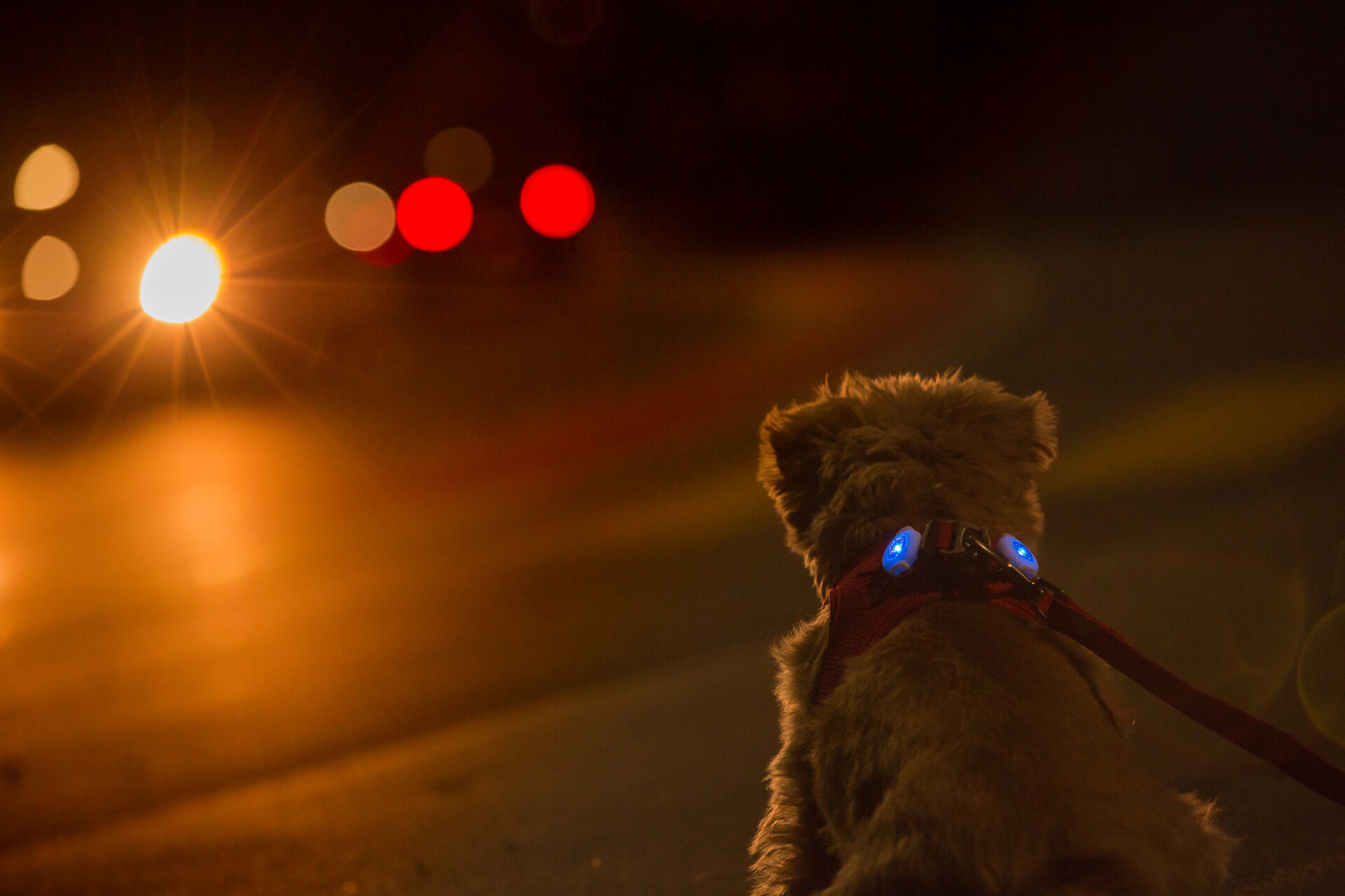 Safety in the dark!