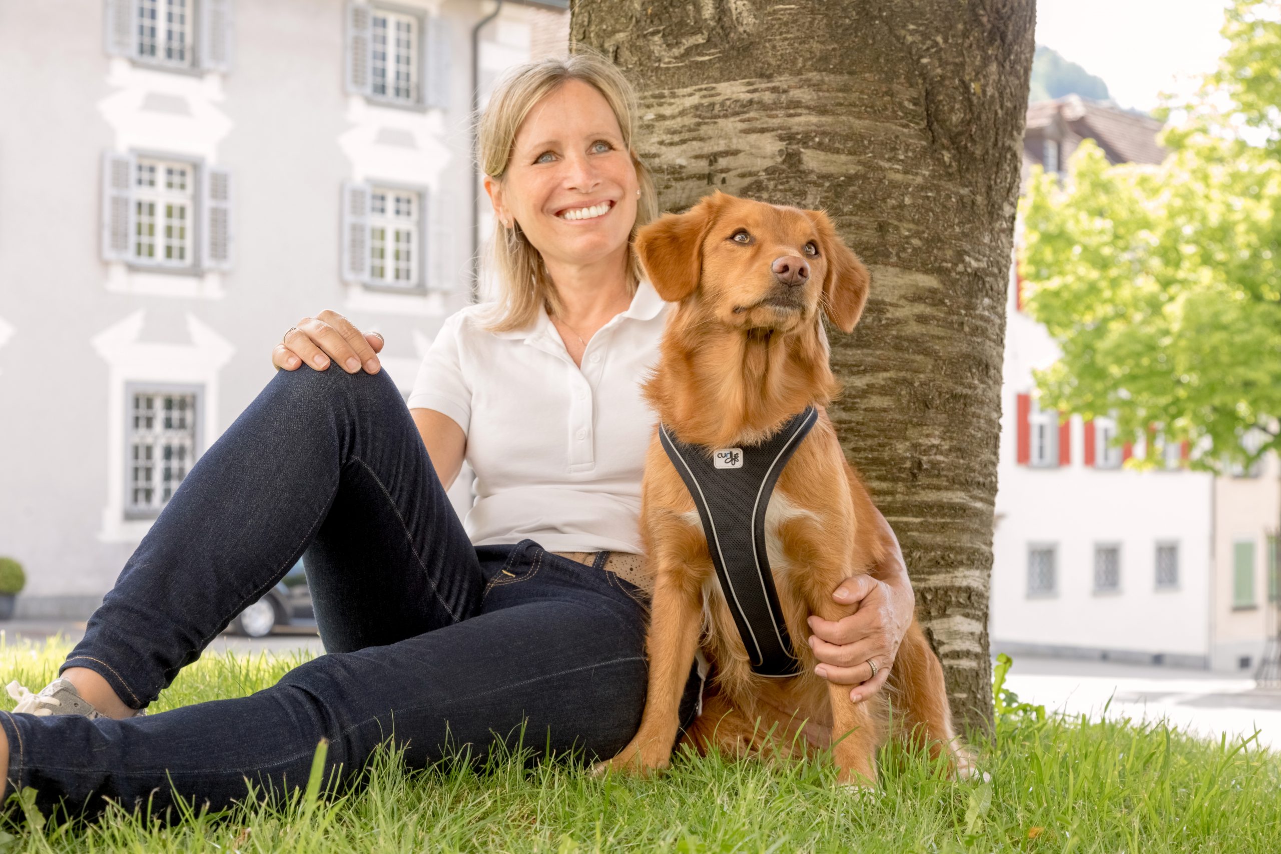 New Product Magnetic Belka Comfort Harness