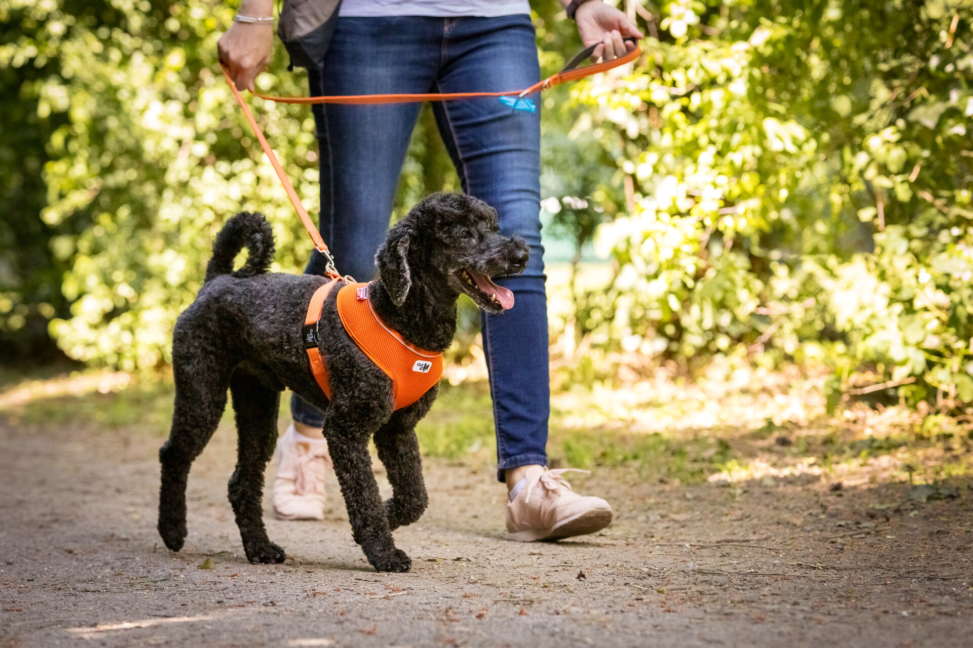 Photoshoots | Basic Harness