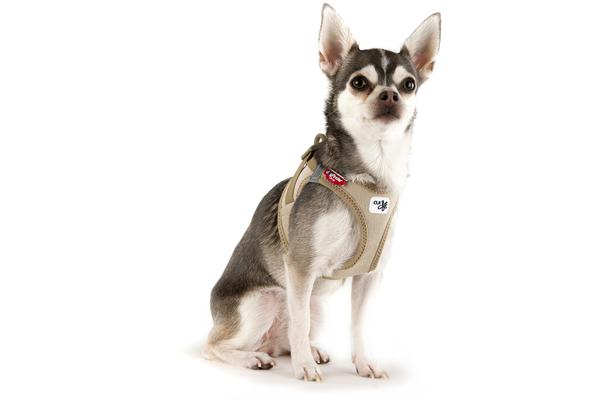 Photoshoots | Vest Harness Cord curli Clasp