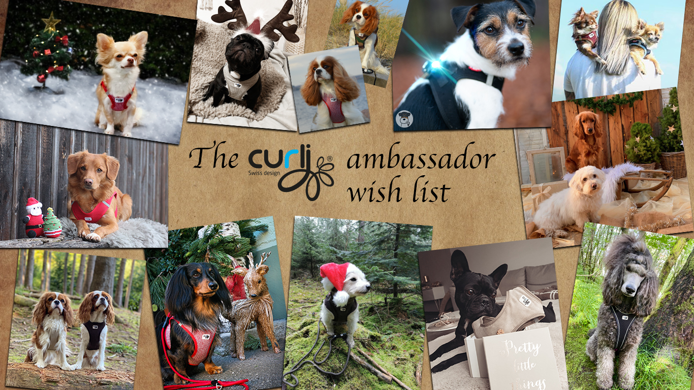 curli Ambassador wish list