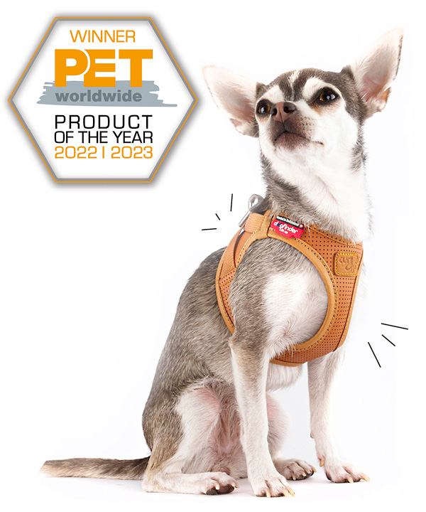 Winner-Pet-Award-Worldwide