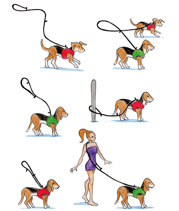 curli-Adjustable-Leash-Function-02