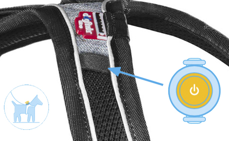 curli-Dog-Harness-Magnetic-Belka-Dogharness-large-dogs-safety-lights