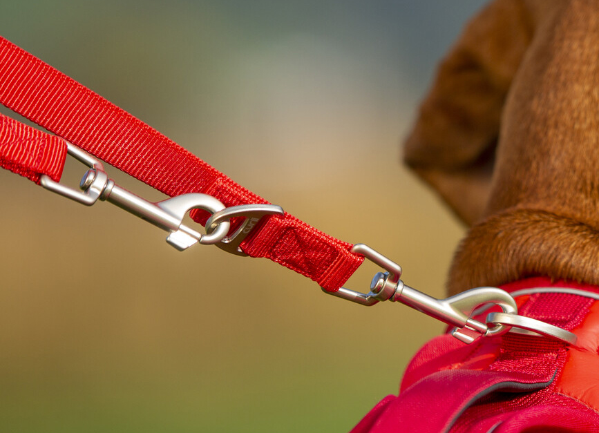 curli-Dog-Leash-adjustable-leash-multifuntional-metal-d-rings-on-dog