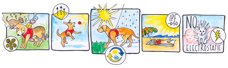 Merino-curli-Clasp-Story-behind-5