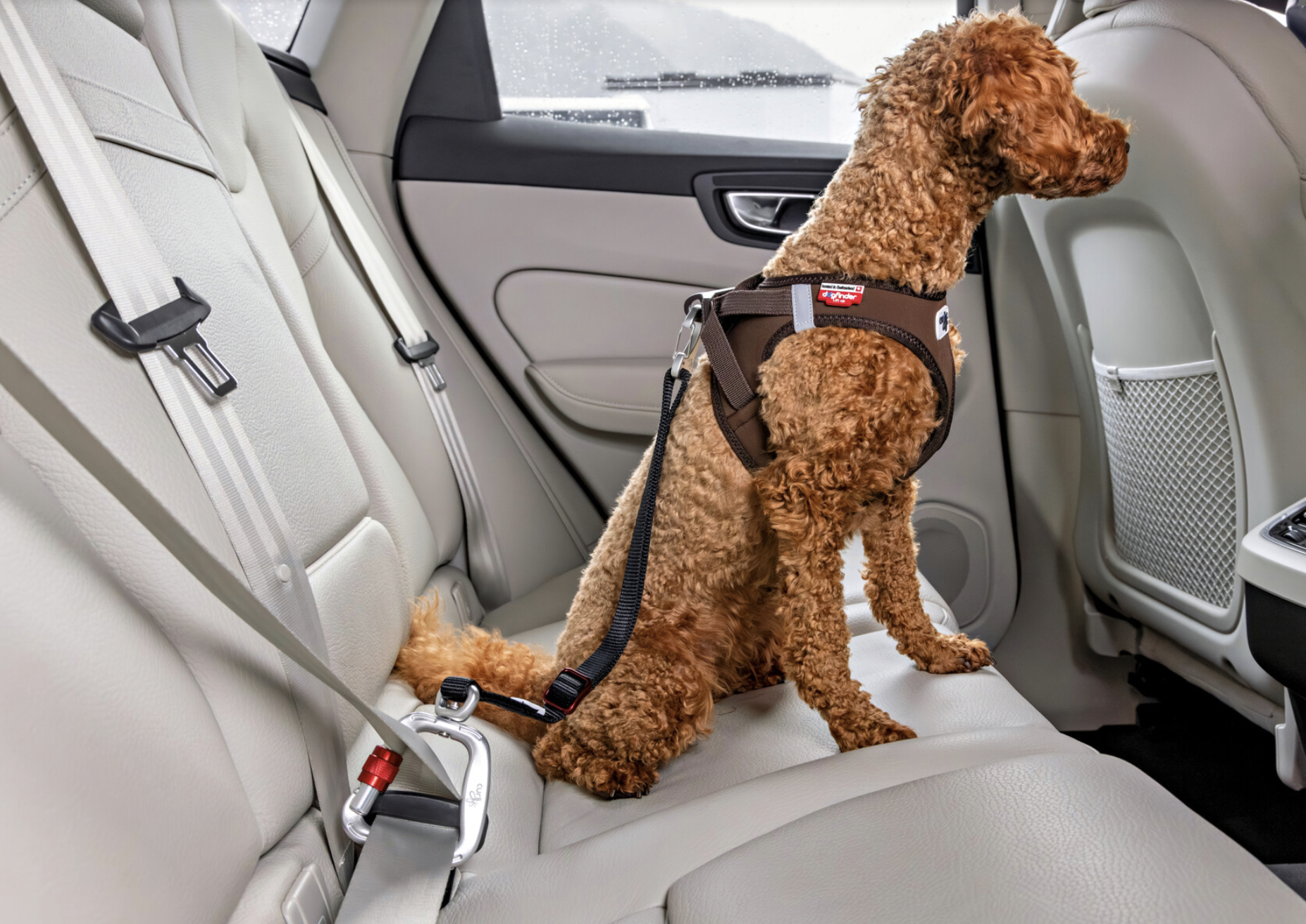 Photoshoots | Car Safety Belt V2
