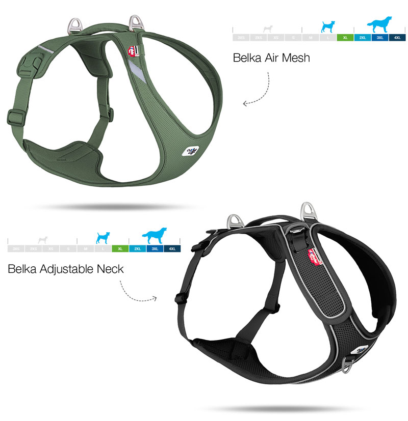 curli-Belka-Harness-medium-to-large-dogs
