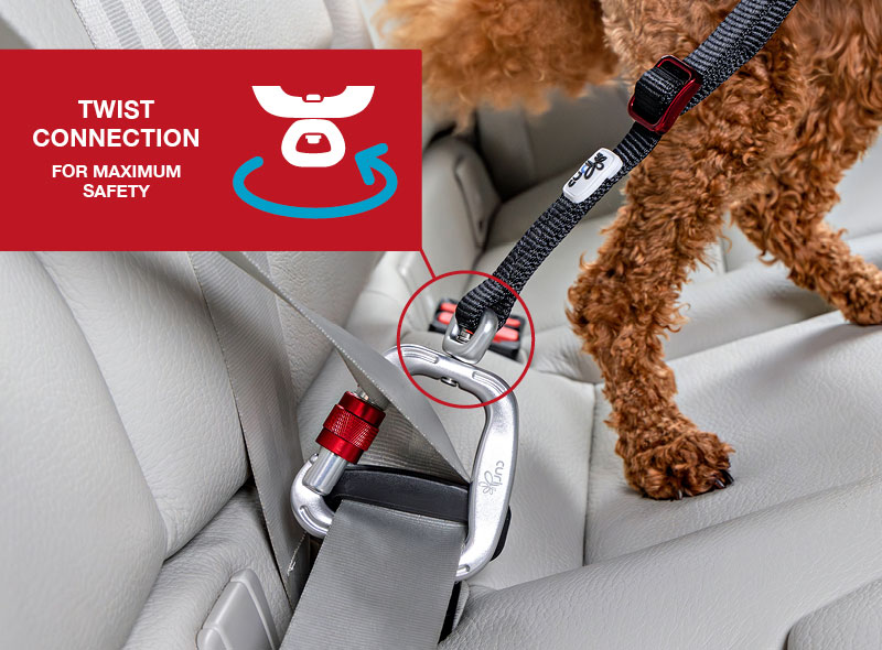 curli-Car-Safety-Belt-Twist-Connection