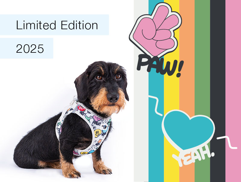 curli-Limited-Edition-2025