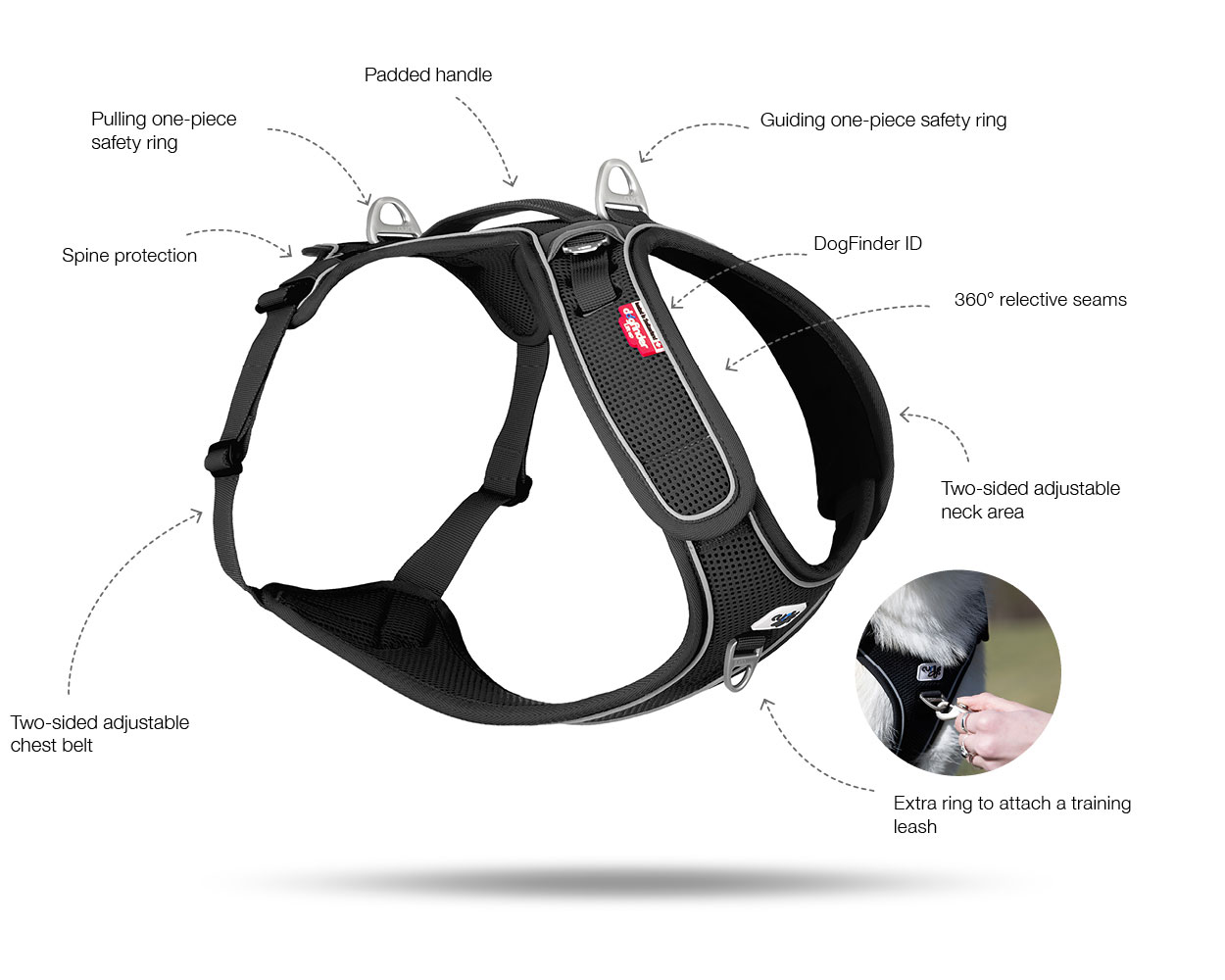 curli-Belka-Harness-Adjustable-Neck-EN