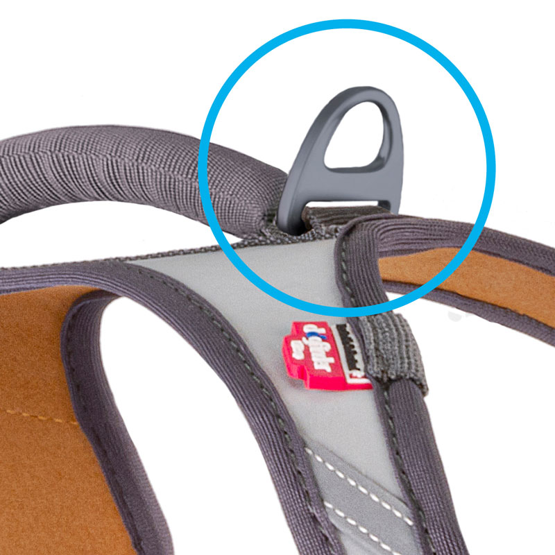 Hotspot-Image-Belka-The-Glow-Guiding-Ring