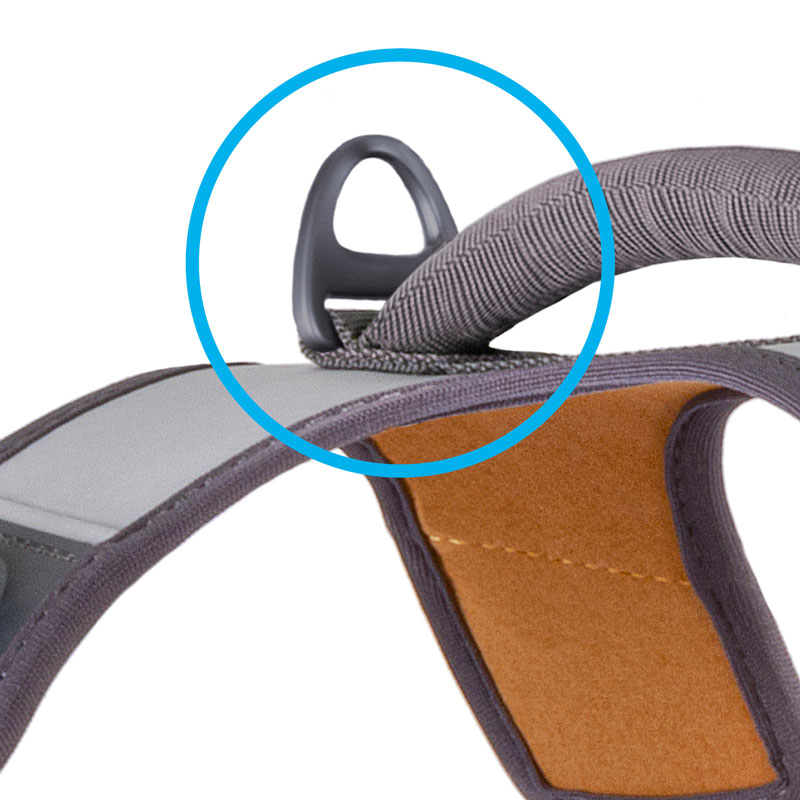 Hotspot-Image-Belka-The-Glow-Pulling-Ring