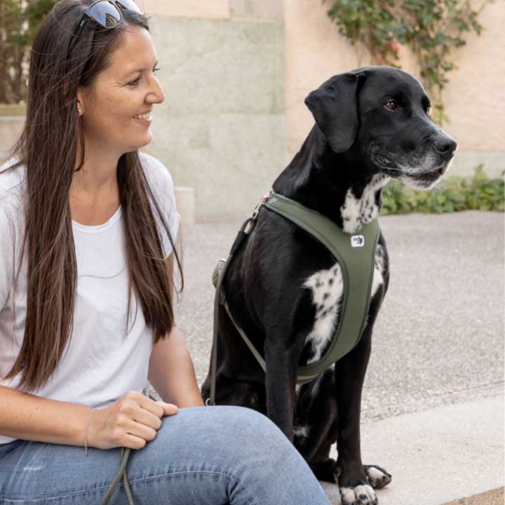 curli Belka Harness – High-performance dog harness made of ultra light-weight Air Mesh designed for medium to large sized dogs