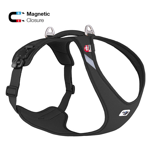 curli Belka Magnetic – Dog Harness with magnetic buckles designed for medium to large sized dogs