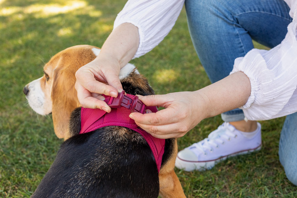 Air Mesh curli Clasp Vest Harness - curli