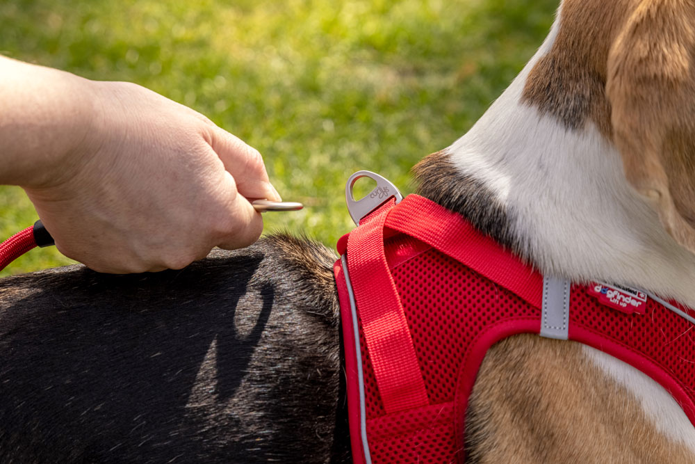 Magnetic Vest Harness - curli